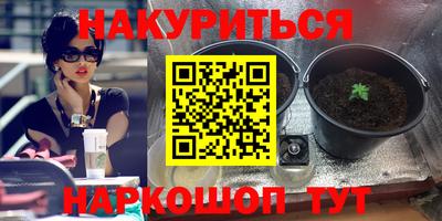 молекула духа Апрелевка