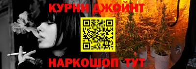 крисы Аргун
