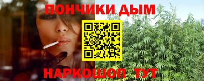 крисы Аргун