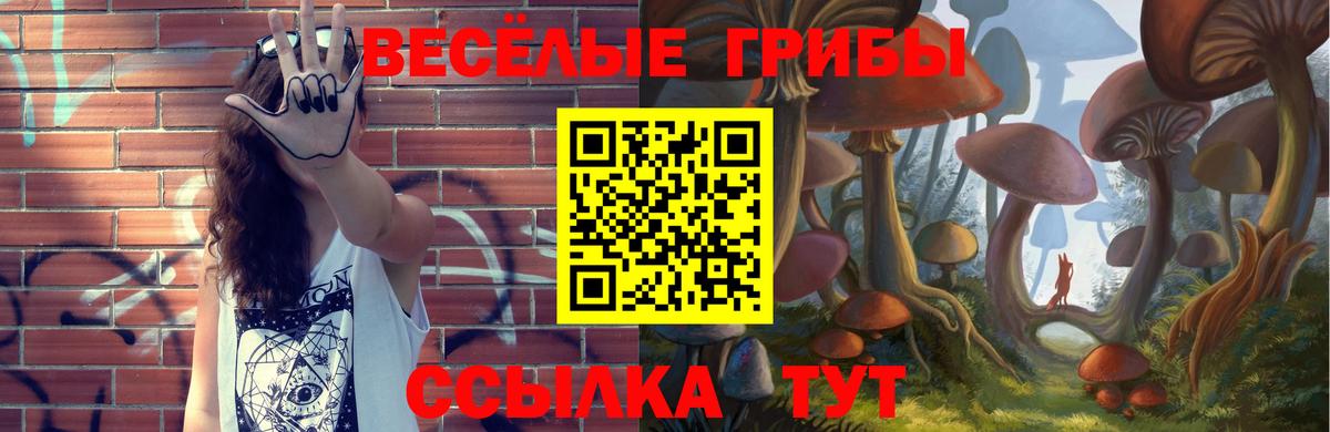 Белгород  дарнет шоп  Вход с VPN  Галлюциногенные грибы Psilocybe 